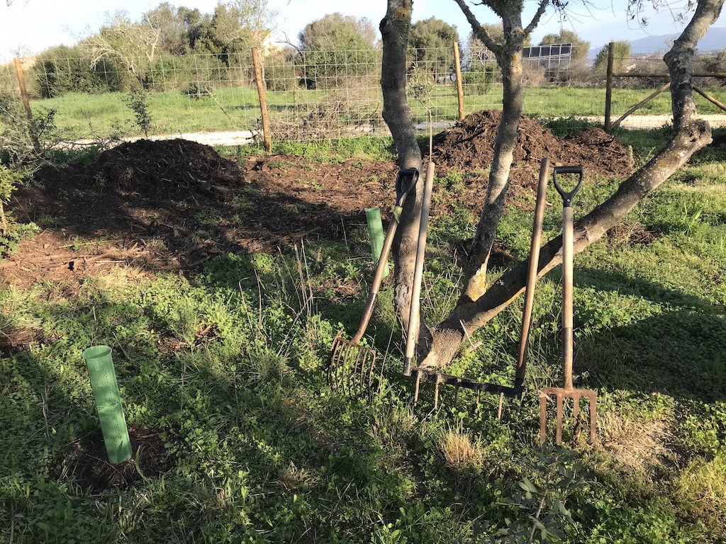 garden forks